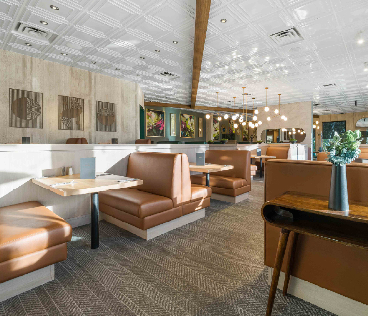 MedHat-Slider1-Desktop-730x627