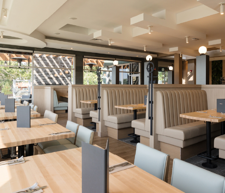 Regina-Slider1-Desktop-730x627